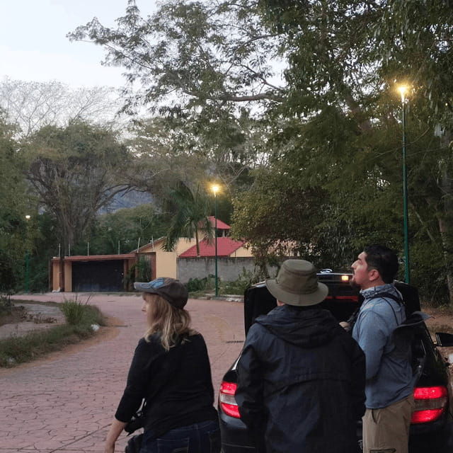 ixtapa-bird-watching-tour-with-round-trip-transportation