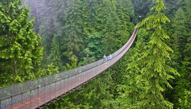 jakarta-volcano-or-suspension-bridgericefield-hot-spring