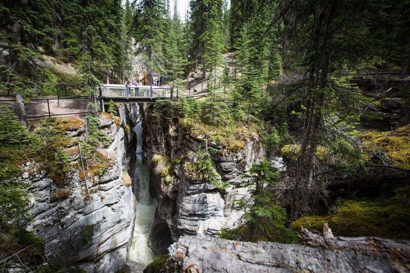 jasper-sightseeing-tour-with-maligne-lake-cruise