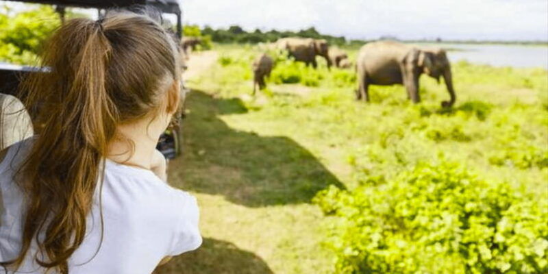 jeep-safari-to-udawalawa-national-park-from-colombo