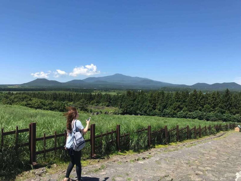jeju-island-van-tour-with-a-guide-who-the-most-loves-jeju