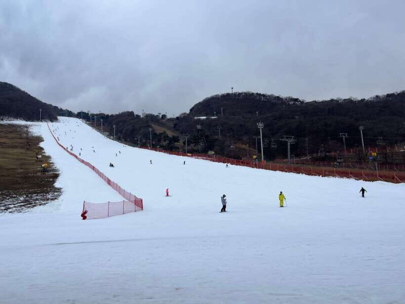 jisan-forest-ski-resort-one-day-tour