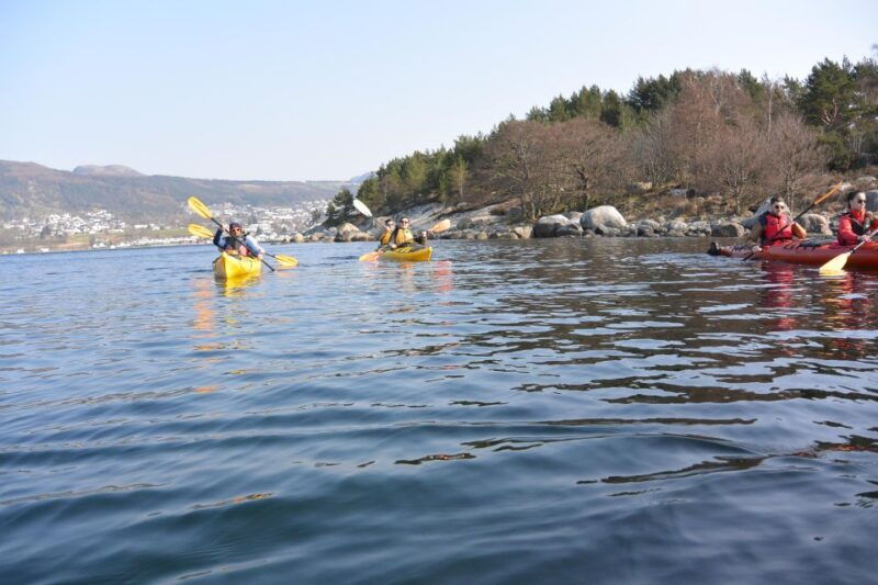 jorpeland-guided-fjord-tour-kayak