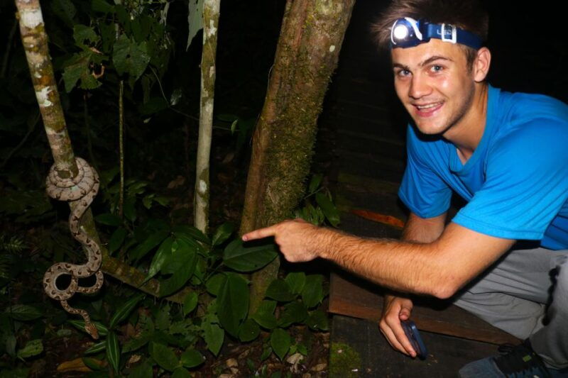 jungle-night-walk-nocturnal-wildlife-and-jungle-sounds