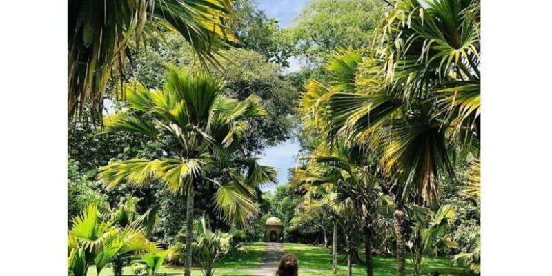 kandy-ambuluwawa-citytours-sigiriya-day-tour-ordrop2days