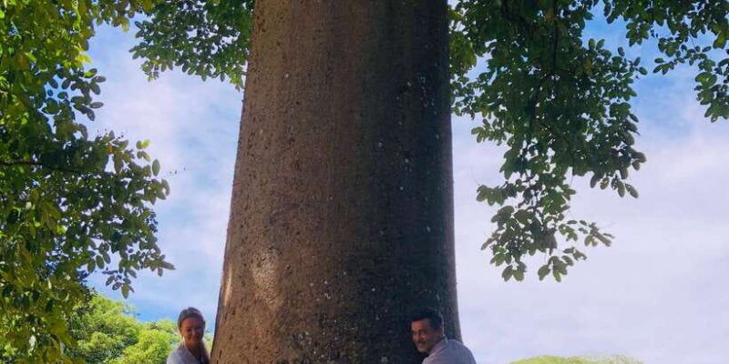 kandy-privet-day-tour-with-pinnawala-and-tea-plantation