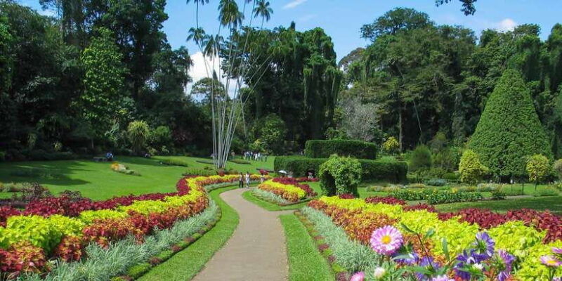 kandy-temples-gardens-cultural-show-city-highlights-tour