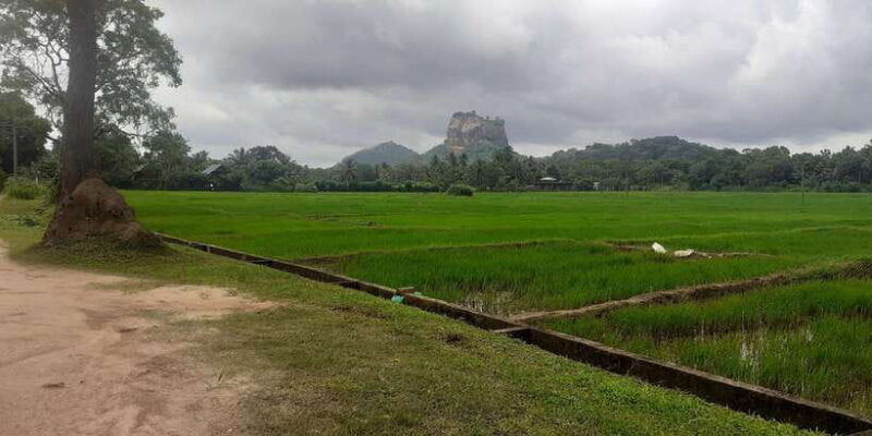 kandy-to-sigiriya-day-tour