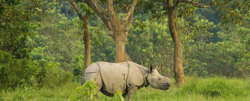 kathmandu-1-way-flight-ticket-to-chitwan-bharatpur
