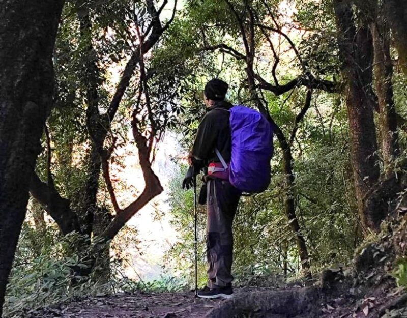 kathmandu-hike-jamachwok-tree-planting-for-carbon-neutral