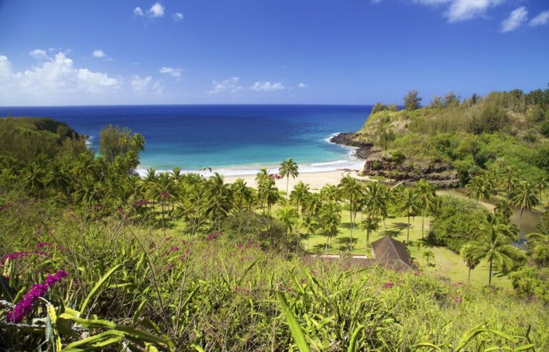 kauai-allerton-garden-guided-group-walking-tour