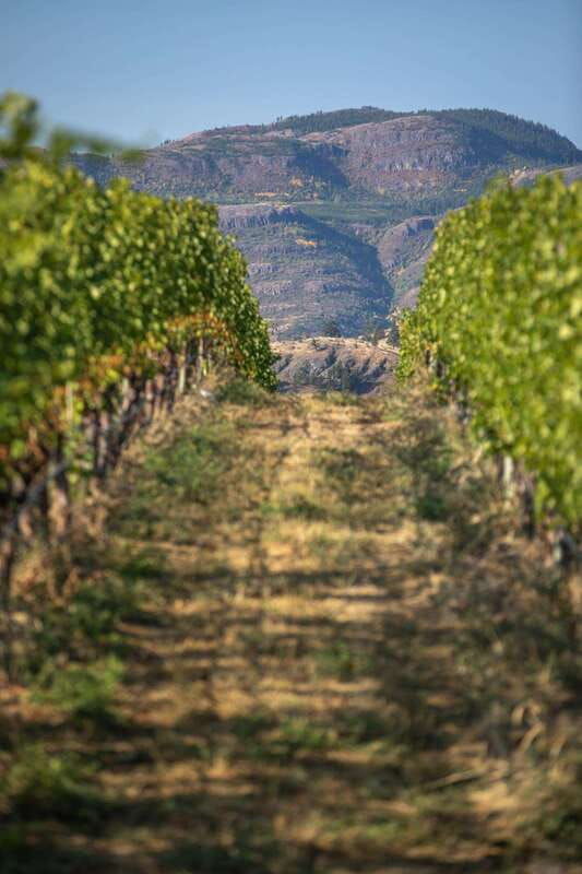 kelowna-lake-country-half-day-guided-wine-tour