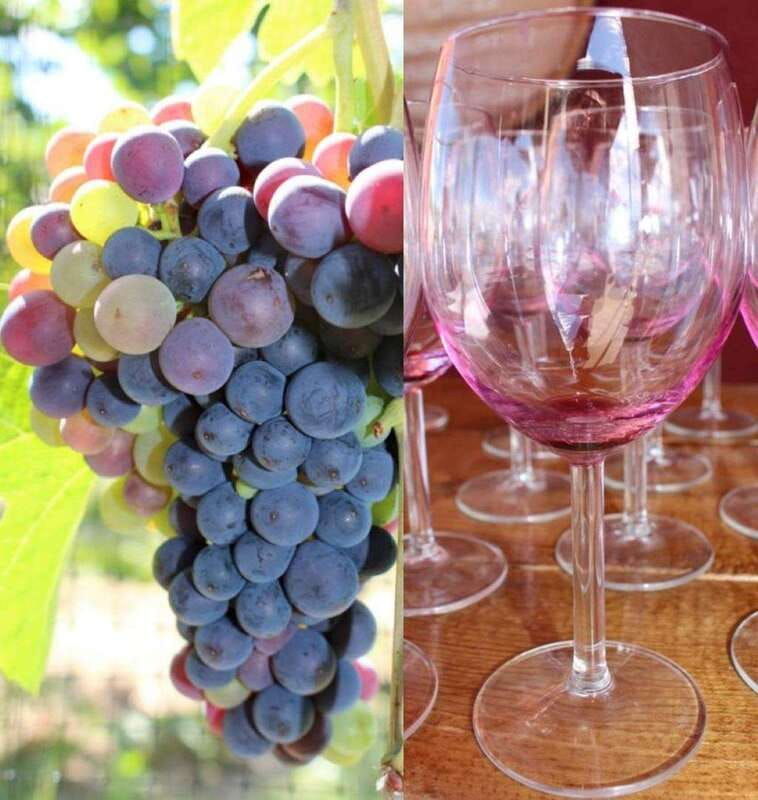 kelowna-myra-canyon-bike-wine-tasting-full-day-tour