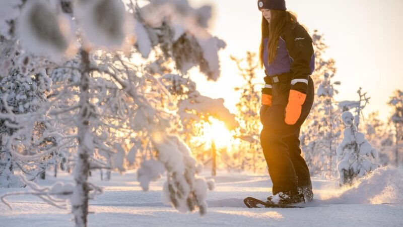 kemi-tornio-nature-tour-with-snowshoes