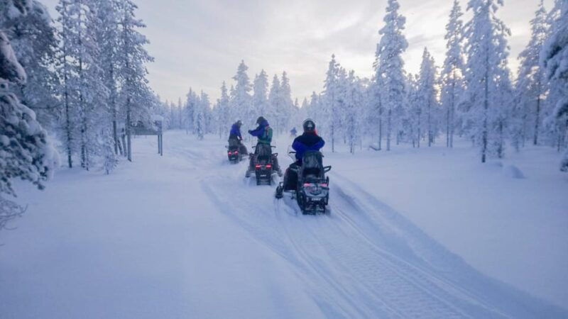 kemi-tornio-snowmobile-forest-safari-w-hot-drink-snacks