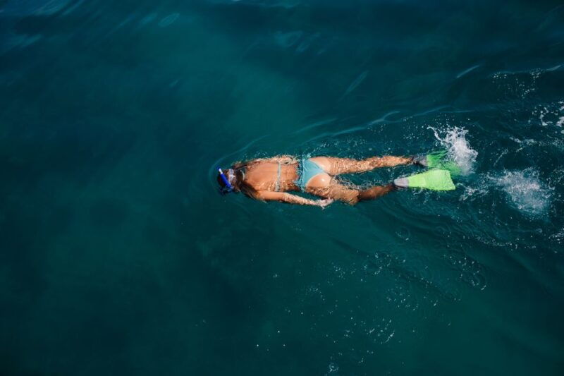 key-west-3-hour-afternoon-reef-snorkel-with-drinks