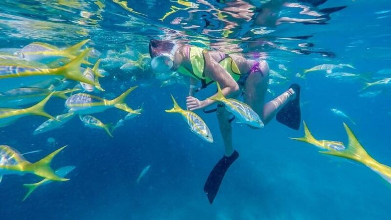 key-west-afternoon-reef-snorkel-tour-with-open-bar