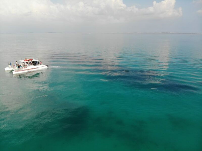 key-west-dolphin-snorkel-boat-tour-with-sunset-option