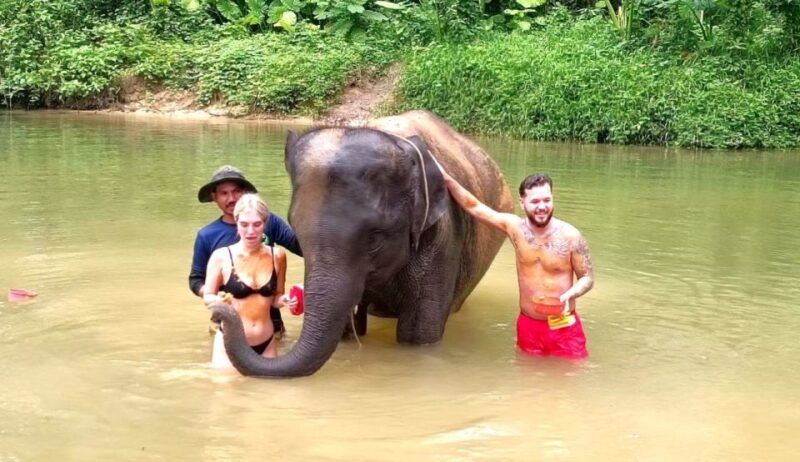khao-lak-elephant-sanctuary-guided-tour