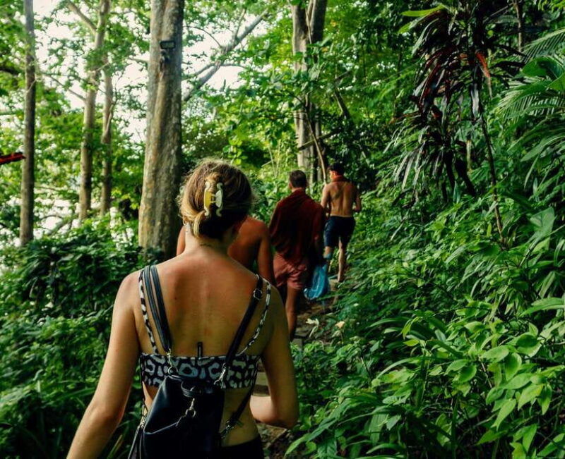 khao-lak-private-khao-sok-jungle-safari-with-bamboo-rafting