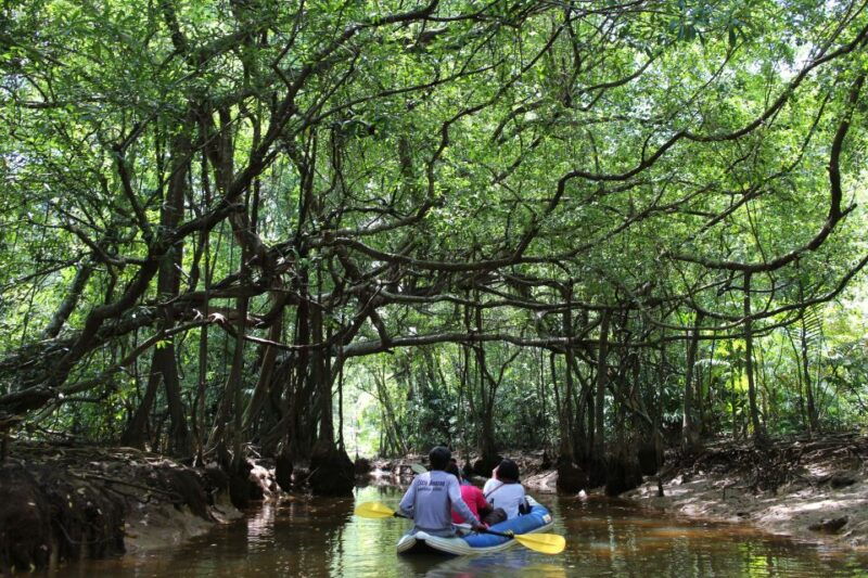 khao-lak-sri-phang-nga-canoe-and-tam-nang-waterfall-tour