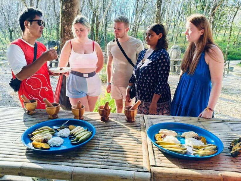 khaolak-ethical-elephant-sanctuary-snack-making-feeding