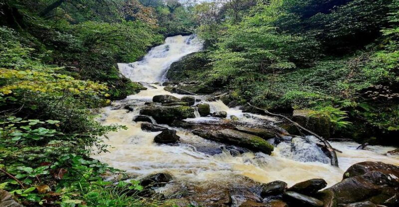 killarney-area-half-day-tour