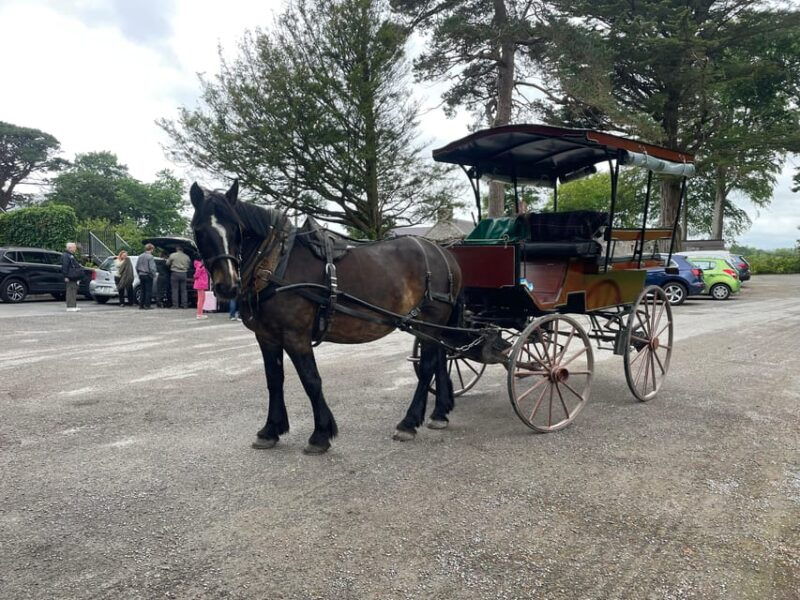 killarney-carriage-tours-national-park-and-lakes