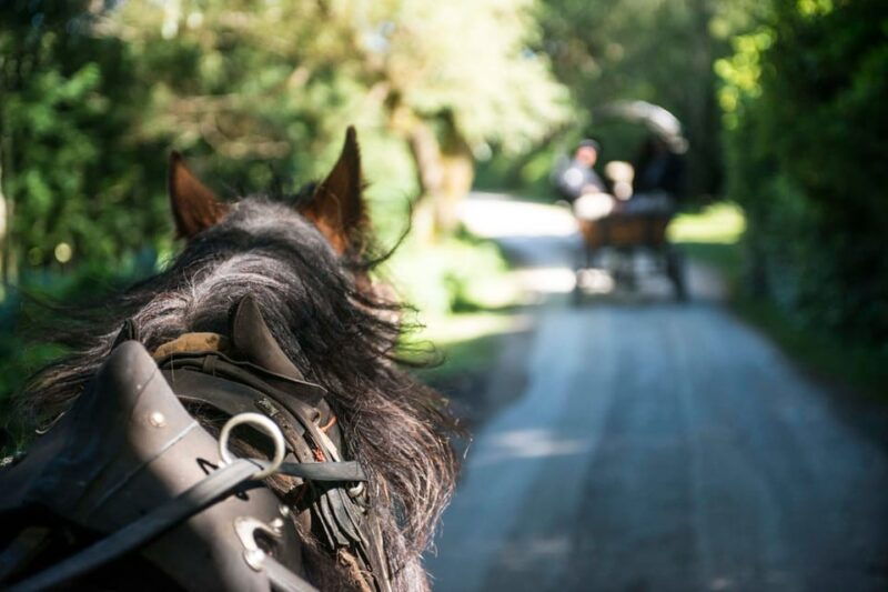 killarney-jaunting-car-tour-with-afternoon-tea