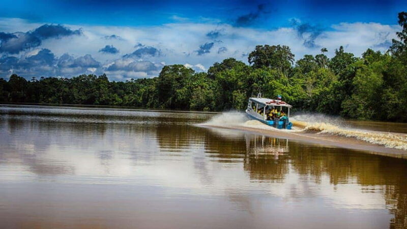 kinabatangan-river-trip-from-sandakan-with-lunch-included