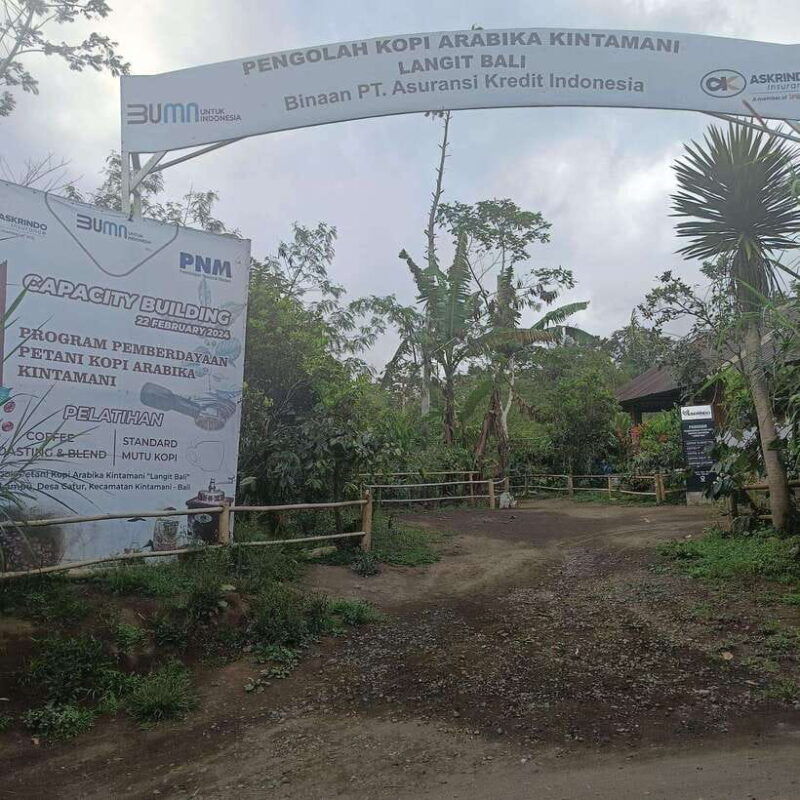 kintamani-bali-coffee-adventure