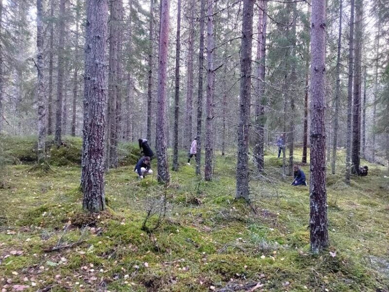 kintulammi-nature-experience-nature-reserve-near-tampere