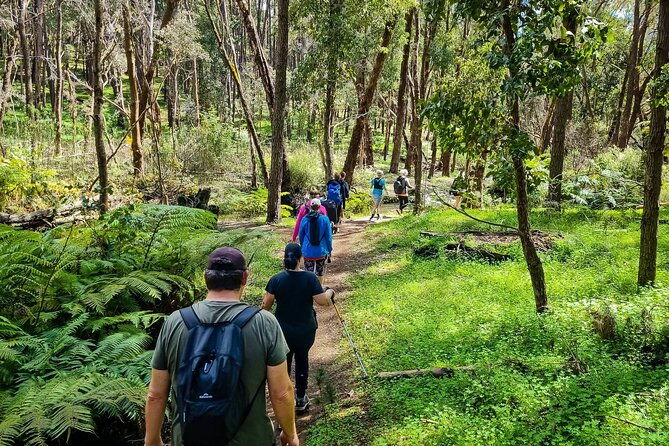 Kittys Gorge Waterfall Hike in Australia - Key Points