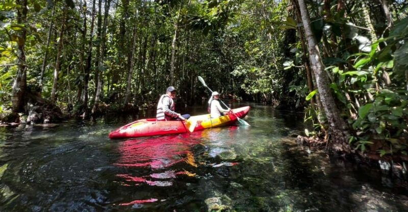 klong-rud-kayaking-with-hotel-transfer