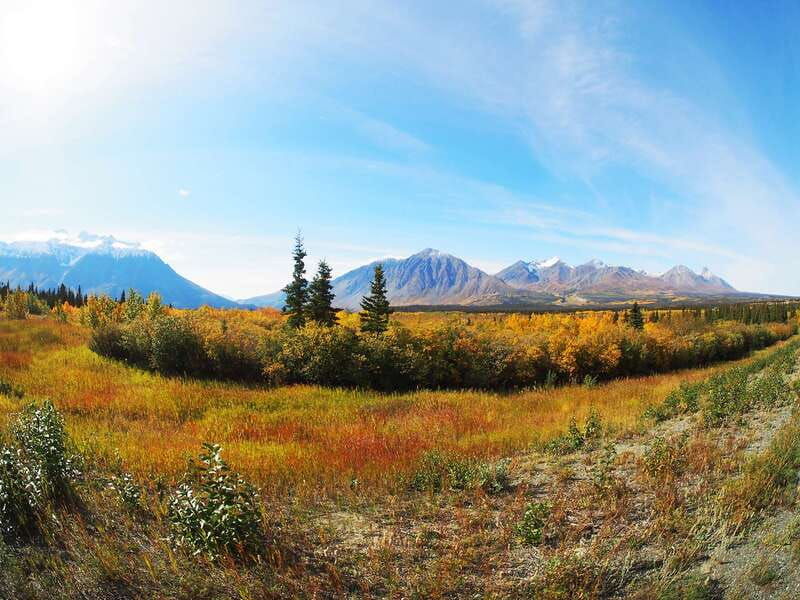 kluane-national-park-full-day-tour