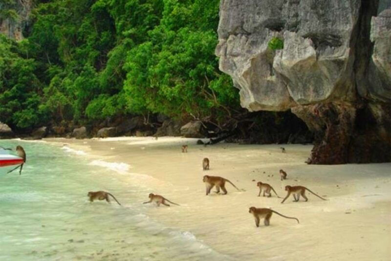 ko-yao-private-phi-phi-and-bamboo-island-speedboat-tour