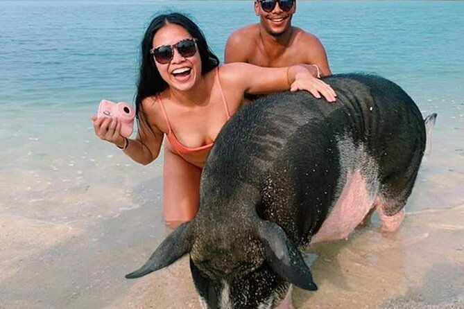 kohsamui.tours - Pig Island Snorkeling Eco Tour by Speed Boat - An Honest Look at the Koh Samui Pig Island Snorkeling Eco Tour