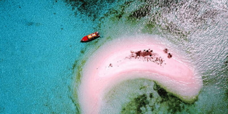 komodo-islands-2d1n-speedboat-tour-land-tour-hotel-stay