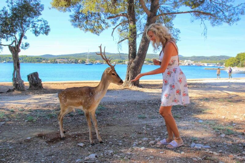 korcula-peljesac-badija-3-island-speedboat-tour-w-lunch