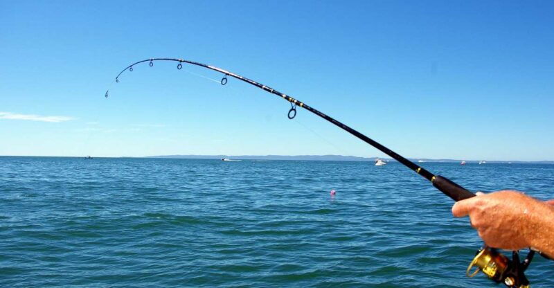 kos-fishing-trip-experience-with-a-greek-fishermans-family