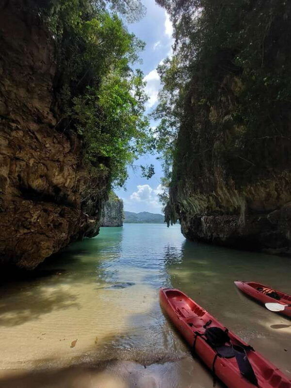 krabi-a-kayaking-odyssey-through-din-daeng-mangrove-maze