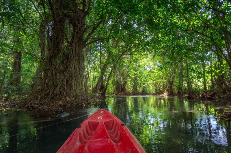 krabi-crystal-lagoon-kayaking-and-horseback-riding-day-trip
