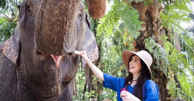krabi-elephant-shelter-and-khaothong-hills-private-tour