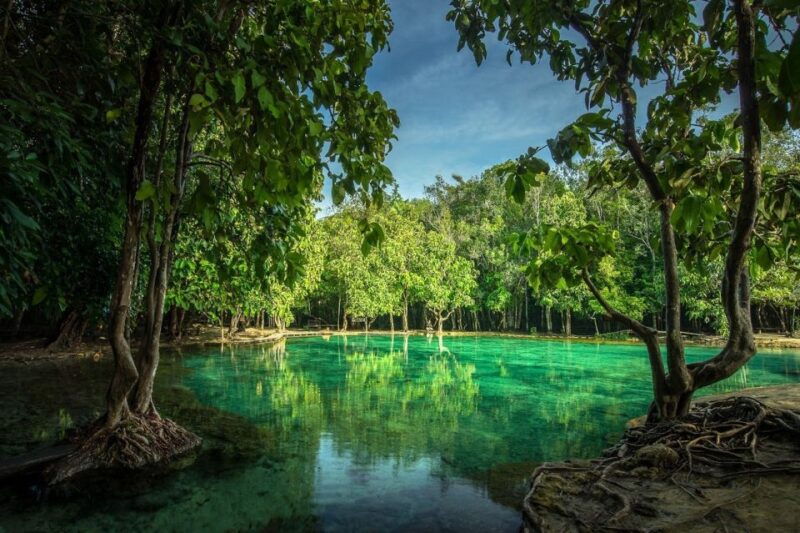krabi-full-day-jungle-cycling-and-emerald-pool-tour