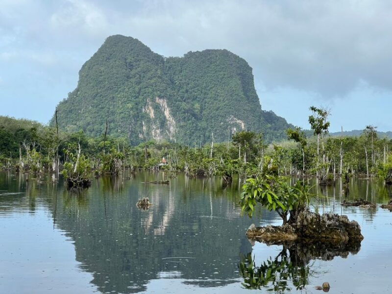 krabi-kayaking-at-klong-nam-sai-elephant-bathing-feeding