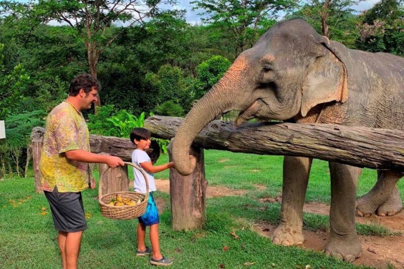 krabi-khao-sok-elephant-sanctuary-rafting-tour-and-lunch