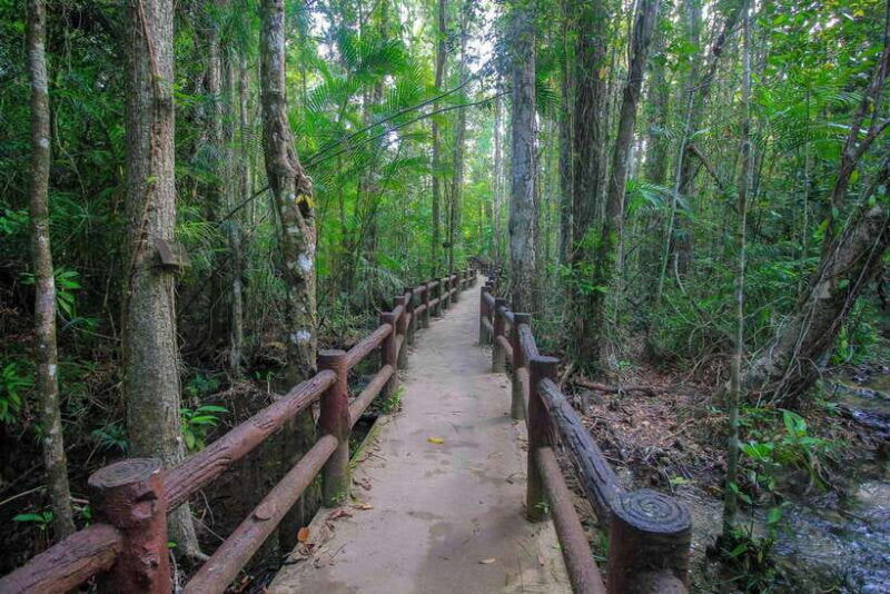 krabi-outback-explorer-to-emerald-pool-wareerak-hotspring