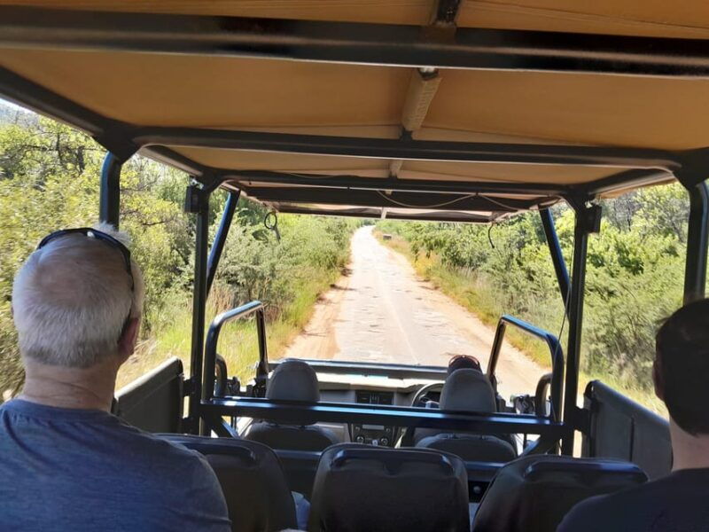 kruger-national-park-4-day-ultimate-safari-tour
