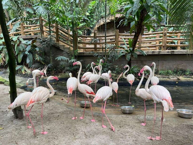 kuala-lumpur-sunway-lagoon-ticket-1-way-transfer