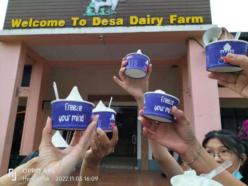 kundasang-poring-hot-spring-village-meal-shared-tour
